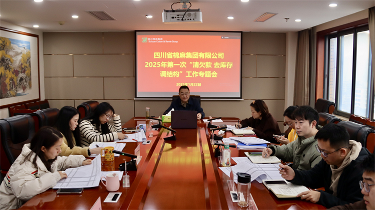 集團公司召開2025年第一次“清欠款、去庫存、調(diào)結構”工作專題會